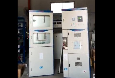 ��Ƶ����