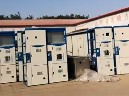 ��Ƶ����